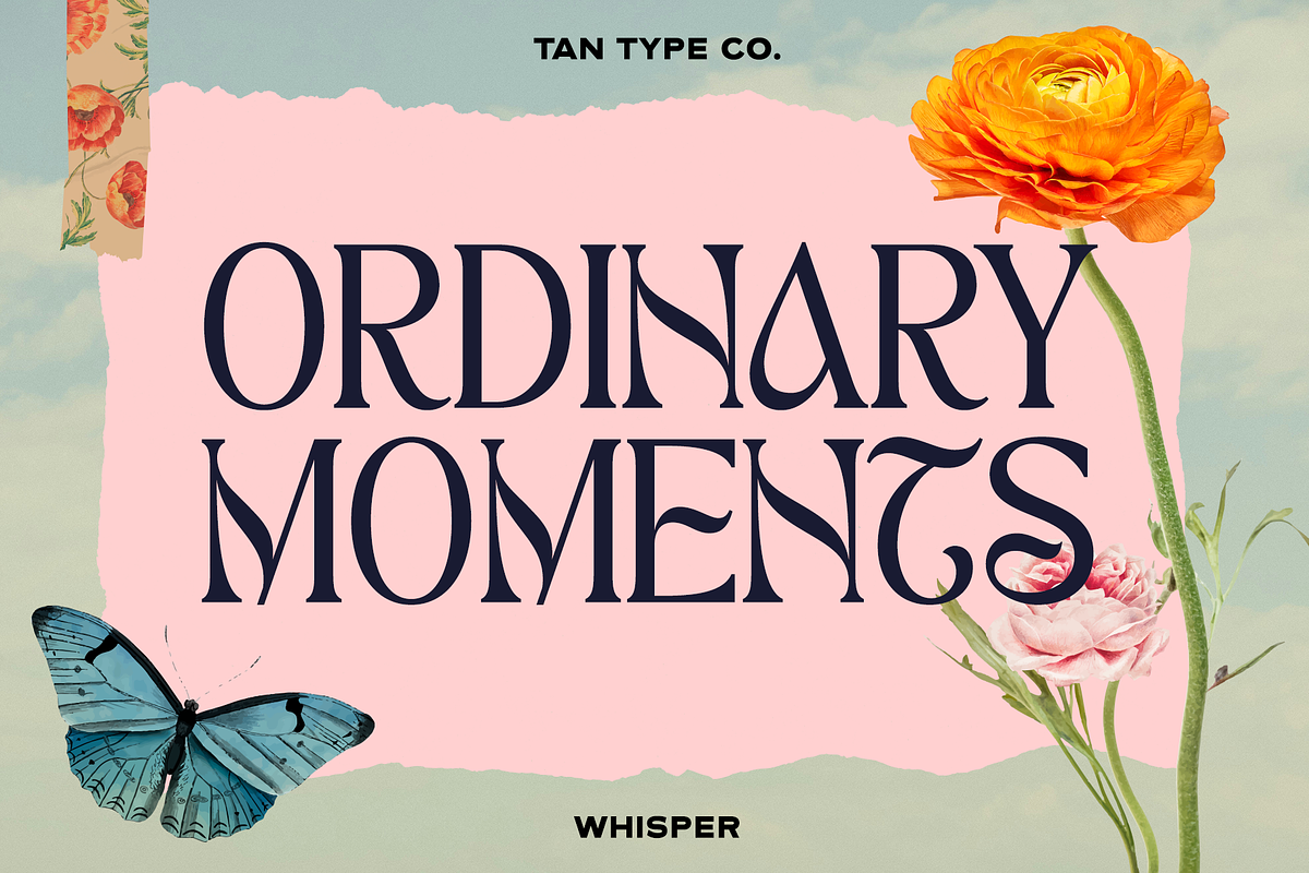 TAN - WHISPER, a Serif Font by TanType (Photo 6 of 10)