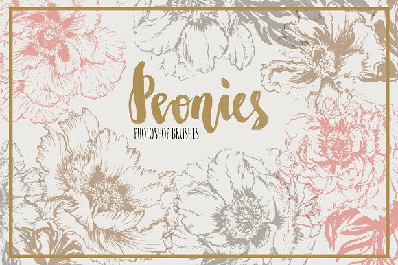 Handpainted Peony Brushes preview 3