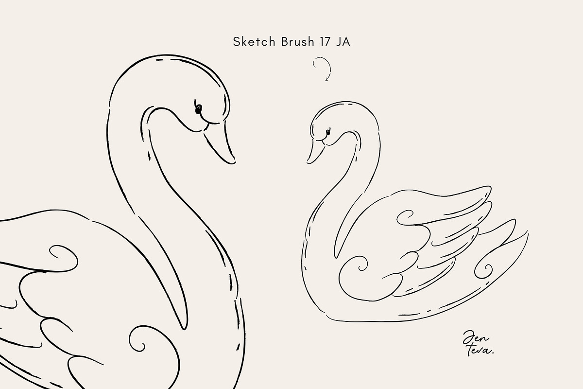 28 Adobe Illustrator Sketch Brushes, a Brush Add-On by Jenteva Art (Photo 9 of 16)