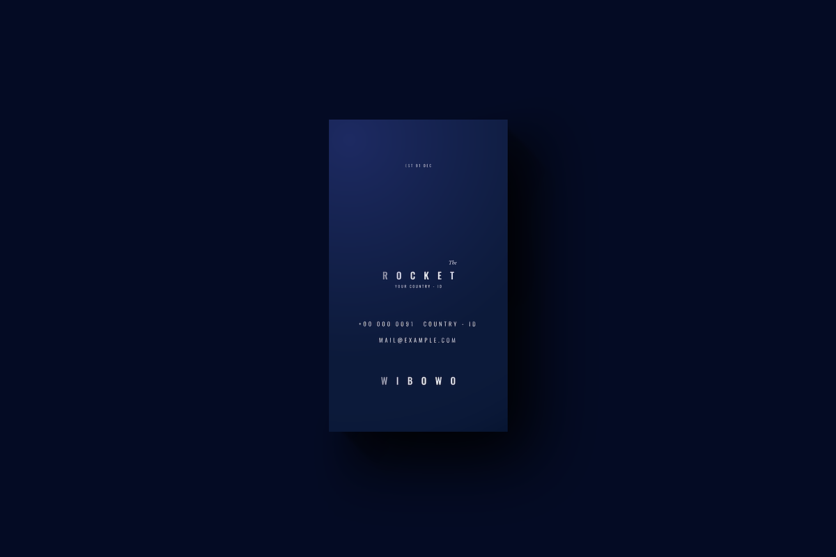 Ferlin - Vertical Business Cards, a Business Card Template by Ctrl space studio (Photo 5 of 9)