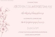 Whiskey Girl Script Font, a Script Font by Beck McCormick (Thumbnail 9 of 10)