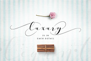 Mostter Script, a Script Font by vuuuds (Thumbnail 4 of 6)