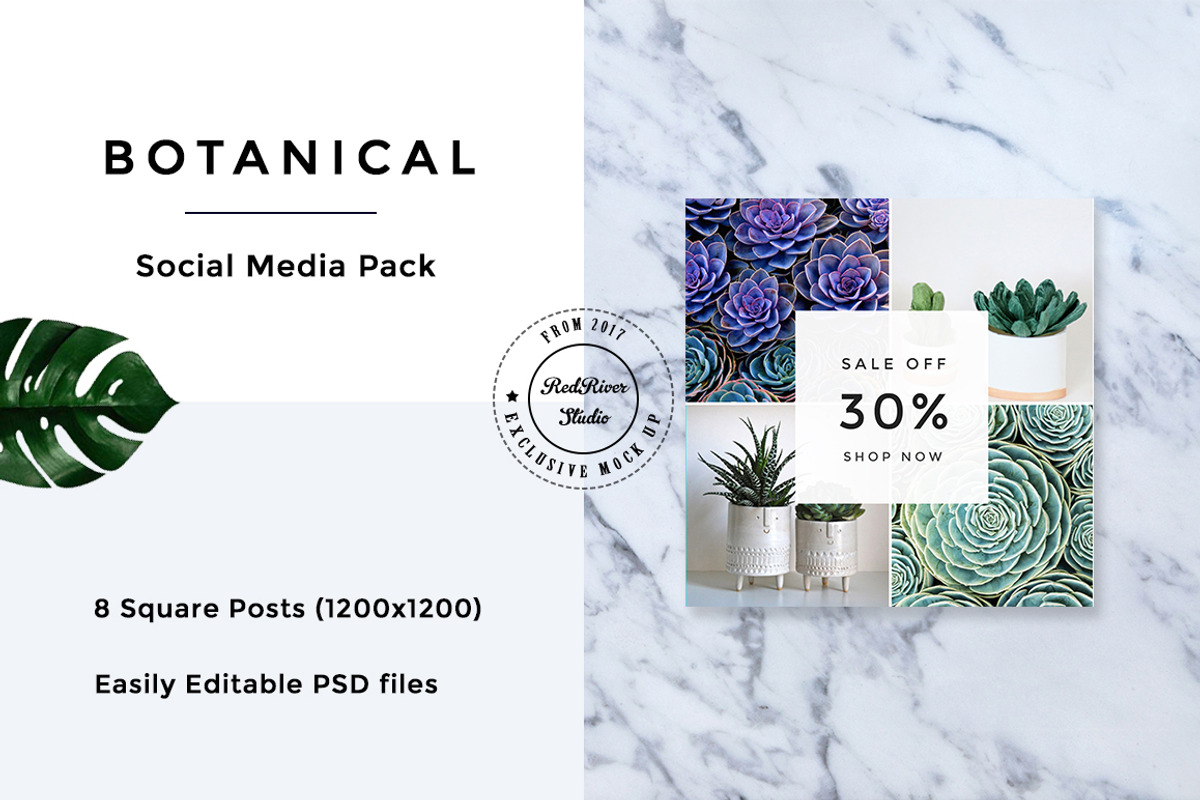 Botanical Social Media Pack, a Templates & Theme by RedRiver Studio (Photo 6 of 12)