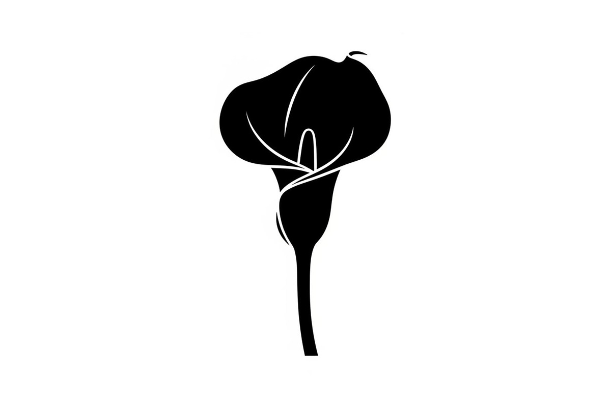 Black Lily Flower Vector Bundle, an Illustration by Designs_River (Photo 7 of 51)