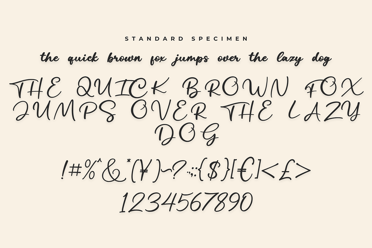 Austin Ronalle Signature Font, a Handwritten Font by Basnistudio (Photo 3 of 7)