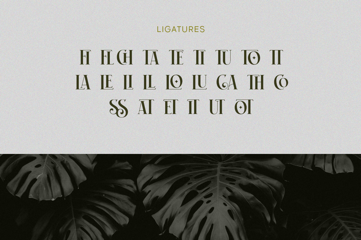 Britnes Grade - Stylish Serif, a Serif Font by Letterhend Studio (Photo 8 of 9)