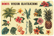 Tropical Tides Vintage Label Font, a Serif Font by JumboDesign (Thumbnail 7 of 7)