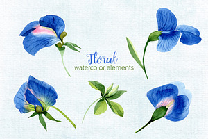 Sweet Pea Flowers Watercolor Png