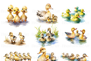 Cute Fluffy Watercolor Duckling