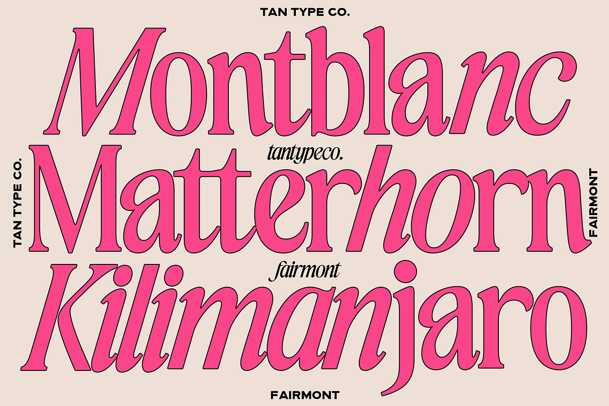 TAN-FAIRMONT DUO FONT, a Serif Font by TanType (Photo 2 of 10)