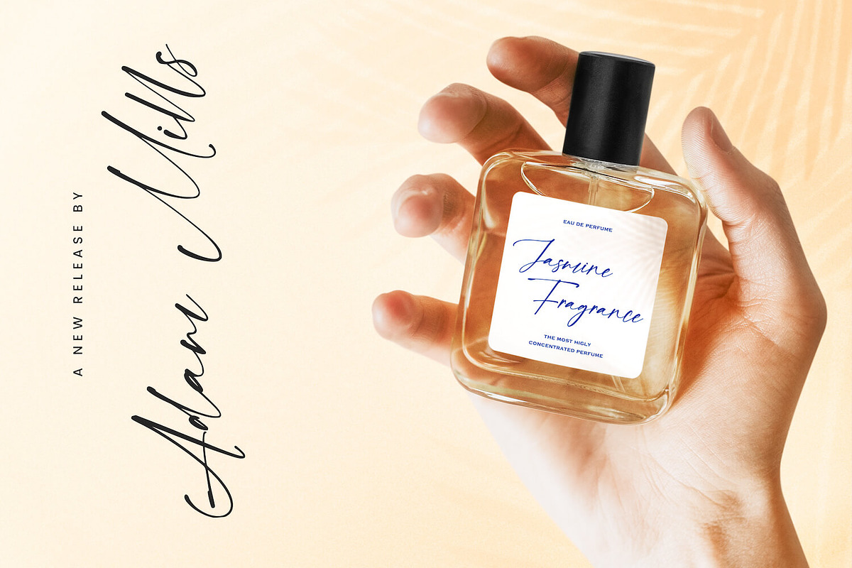 Franky Rain - Signature Script Font, a Script Font by StringLabs (Photo 5 of 9)