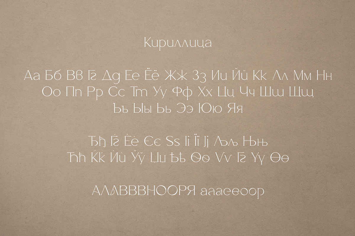 Salve - Elegant Serif + Cyrillic, a Serif Font by VP Fonts (Photo 15 of 20)