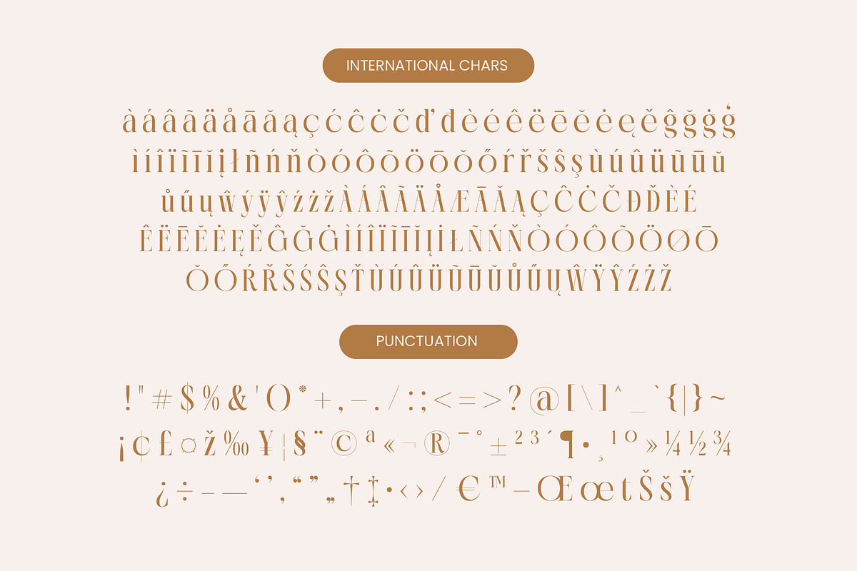 Rich Dashy Modern Elegant Serif, a Script Font by timelesstype.co (Photo 19 of 20)
