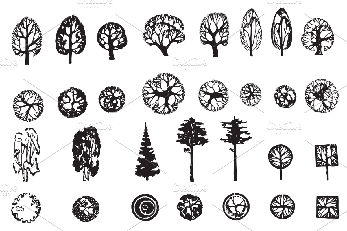 Architectural Tree Pack, an Object Graphic by Tanya_Kalina