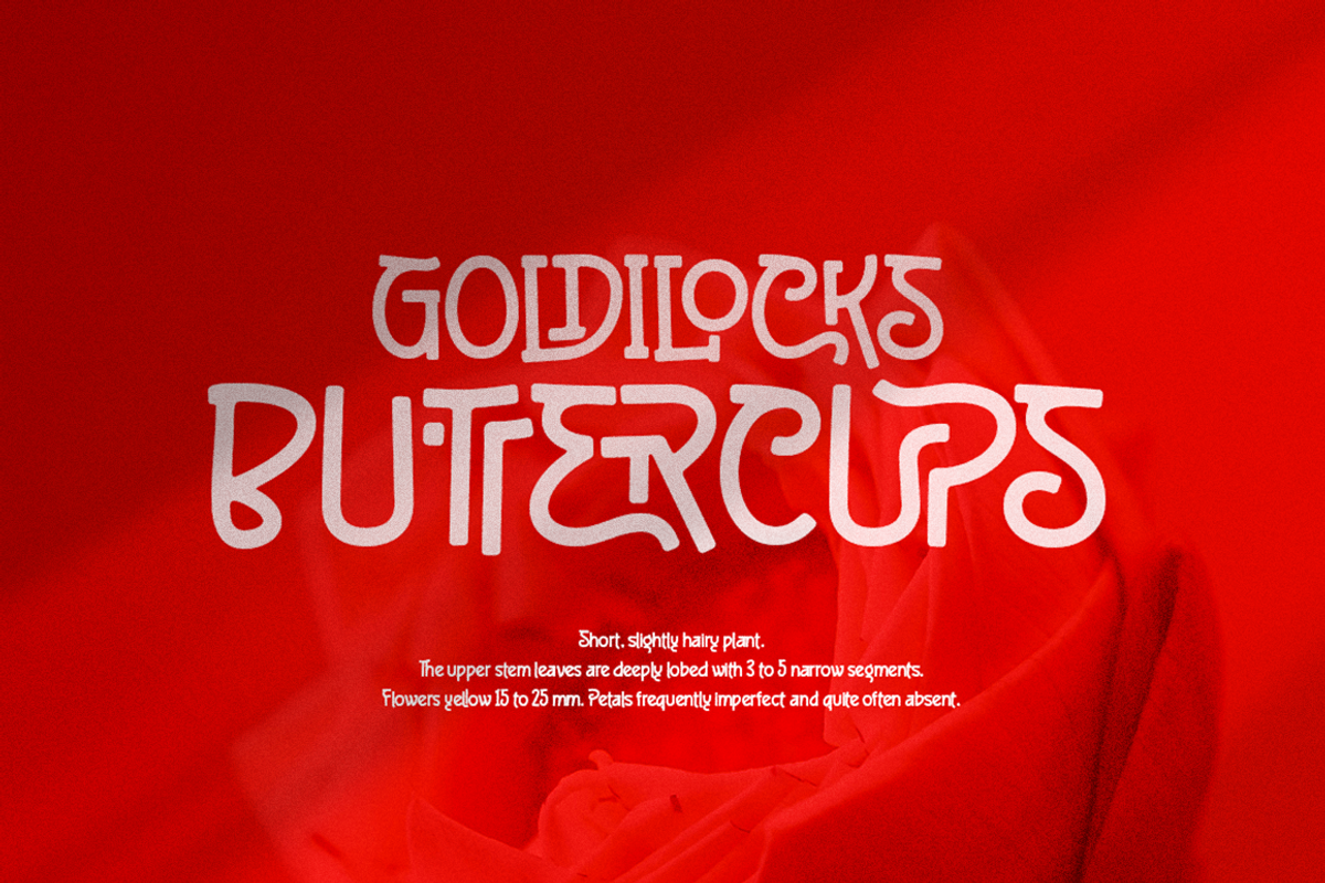 Brigend Font, a Sans Serif Font by Grontype (Photo 2 of 9)