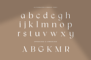 Ginkgo - Modern Classy Serif Font, a Serif Font by Sensatype (Thumbnail 14 of 20)