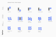TT Bluescreens, a Sans Serif Font by TypeType (Thumbnail 9 of 15)