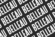 Belleau | Sans Serif Font Family, a Sans Serif Font by Pixel Supply Co. (Thumbnail 5 of 11)