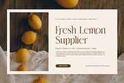 Rokina Elegant Serif Font, a Serif Font by Graphicxell (Thumbnail 3 of 8)