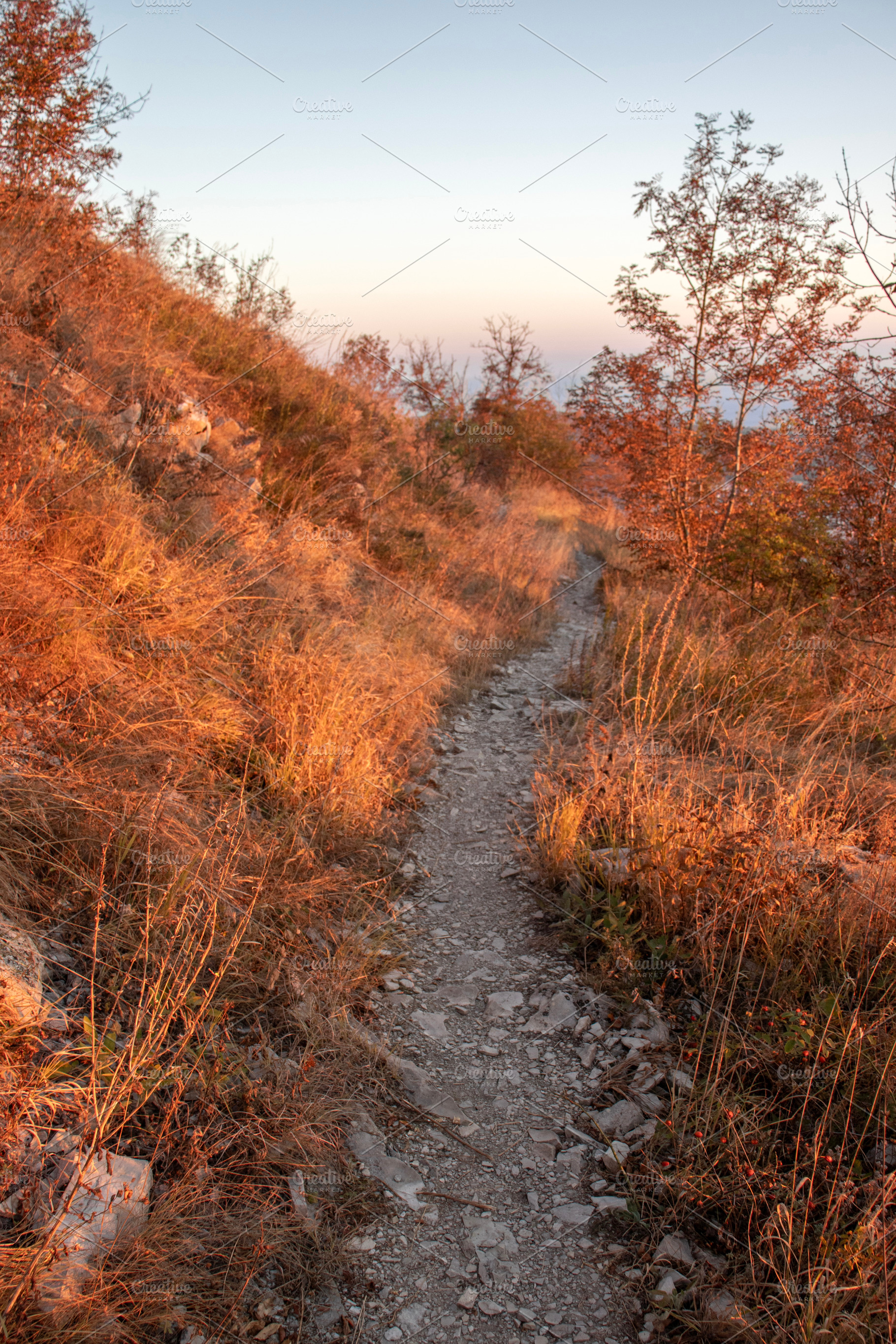 The mountain trail climbs up, a Nature Photo by Schreibikus