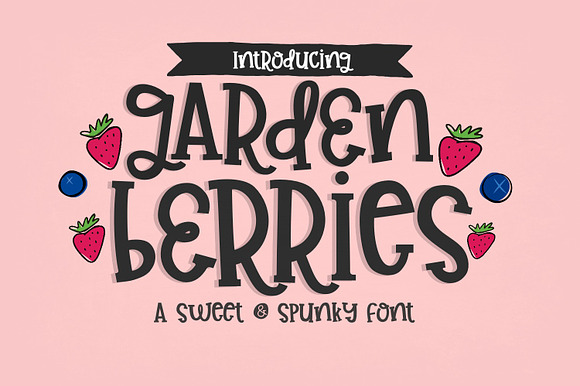 Garden Berries Handwritten Font preview 8