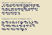 Heating Elegant Font, a Font by 177Studio (Thumbnail 5 of 6)