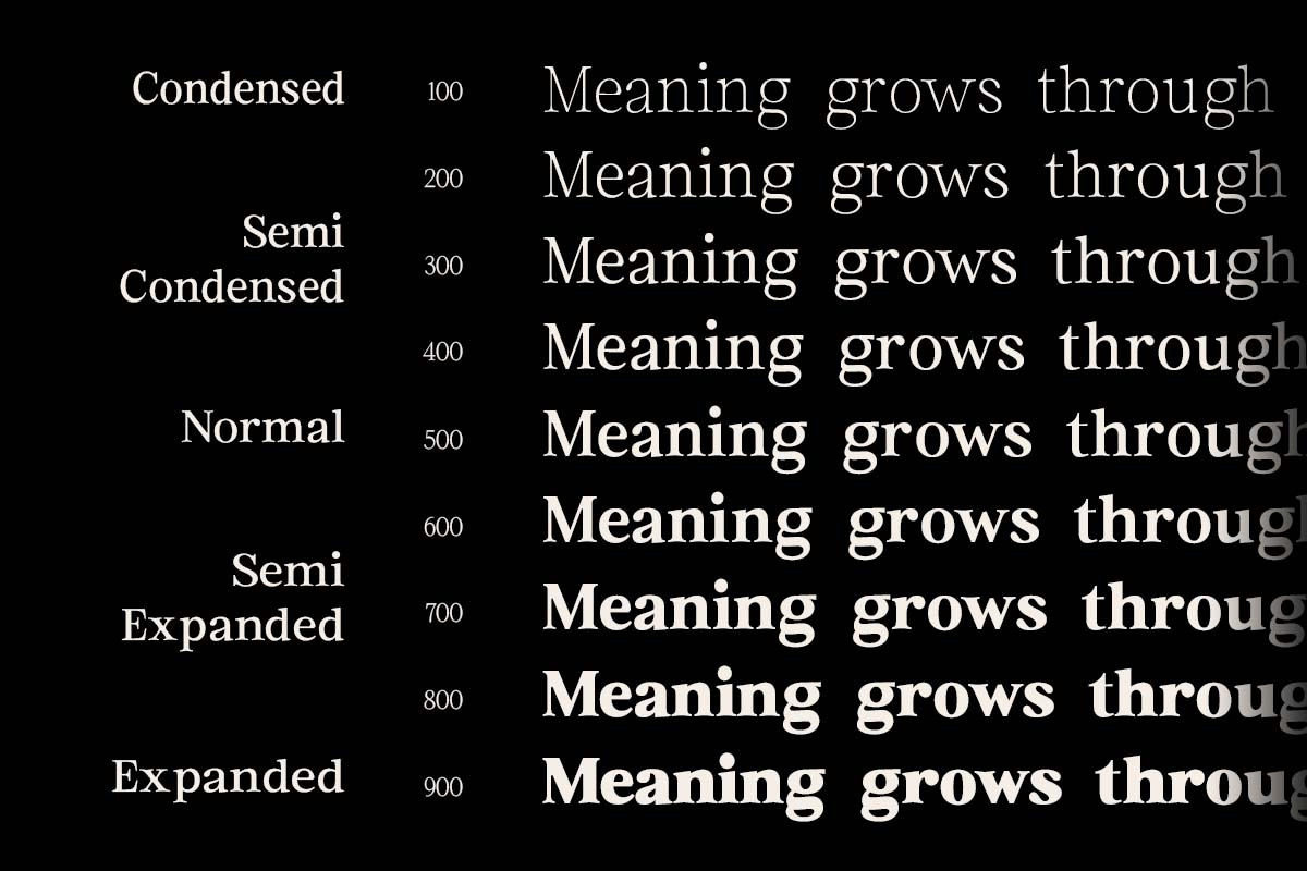 Euclid Serif | 180 Font Files, a Serif Font by Ws Studio (Photo 3 of 12)