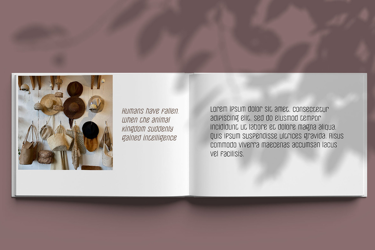 Pearorange Modern Sans Font Family, a Sans Serif Font by Ryul Davidson (Photo 11 of 14)