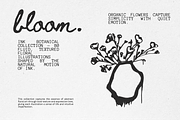Bloom: 80 Ink Botanical Pack, a Decorative Illustration by Veyla (Thumbnail 1 of 17)