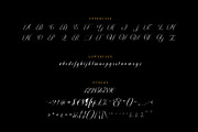 Moritza Script With Ornament, a Script Font by Max.co Studio (Thumbnail 9 of 12)