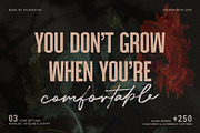 Dreaming Of Spring Stylish Font Duo, a Sans Serif Font by SilverStag Type Foundry (Thumbnail 5 of 23)