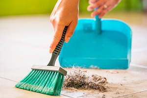 Woman House Cleaning, a Photo by THP Creative