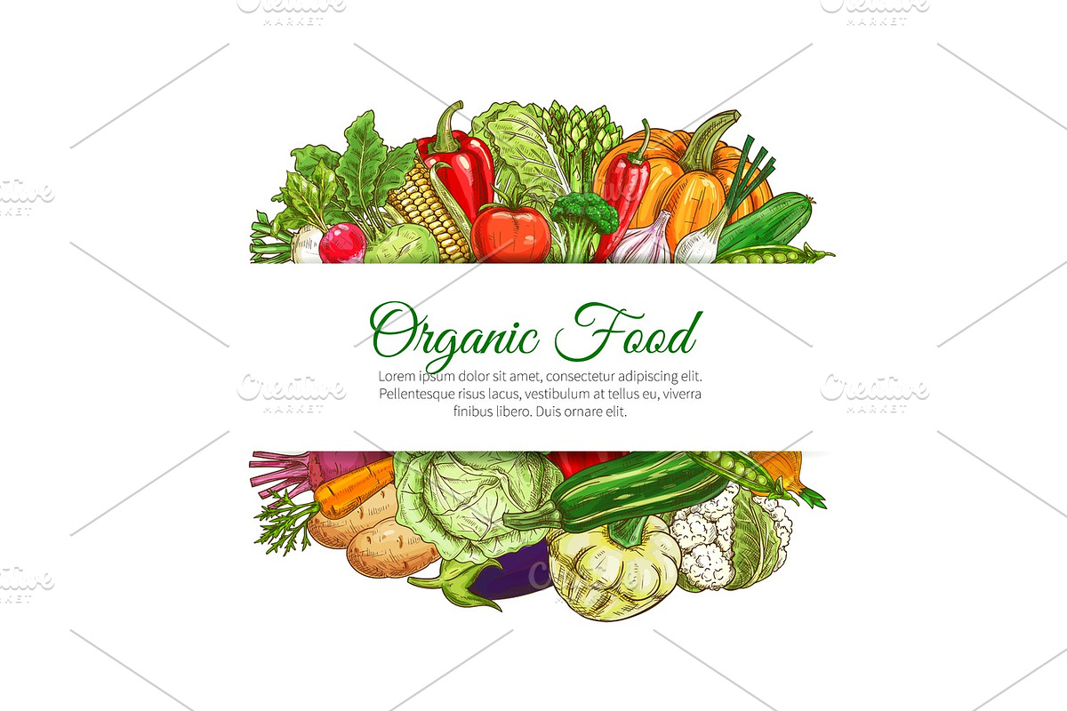 Organic food vegetables harvest vector poster, a Graphic by Vector ...