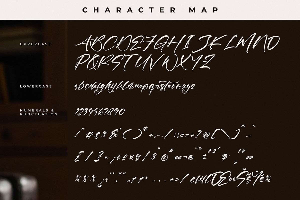 Rosetwood Adorattion Modern Script, a Script Font by Letterena Studios Script (Photo 13 of 15)