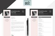 Resume Template | CV Template - 11, a Resume Template by GResume (Thumbnail 3 of 4)