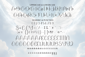 Angel Script Font