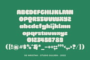 SG - WRISTAN, a Font by Studio Gulden (Thumbnail 3 of 11)