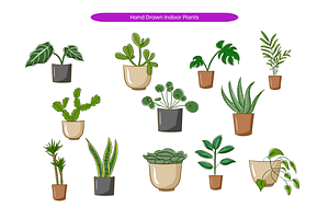 Hand Drawn Indoor Plants, a Decorative Illustration by Creathub Studio