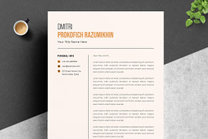 Minimalist Elegance Resume