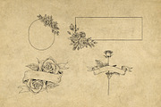 40 Vintage Floral Illustrations, an Illustration by Hatch Design Workshop (Thumbnail 8 of 15)