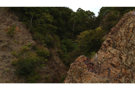 Top view of rocky ridge with forest, a Nature Photo by Media Whale Stock