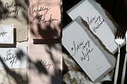 100 hand lettered PNG Wedding Sign, a Handwritten Font by Ivyandpalette (Thumbnail 2 of 6)