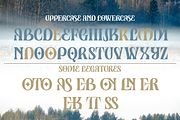 Drivez - New Modern Serif Typeface, a Serif Font by overlaytemplates (Thumbnail 4 of 5)