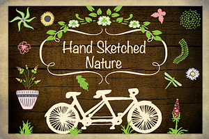 Hand Sketched Nature Illustrations