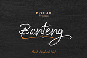 Banteng script, a Script Font by ALIVECREATIVE (Thumbnail 4 of 4)