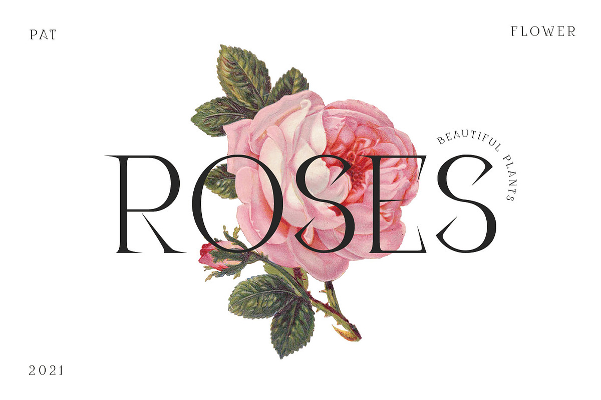 Disenativo - Sharp Display Fonts, a Sans Serif Font by Patria Ari (P4tcreativa) (Photo 2 of 10)