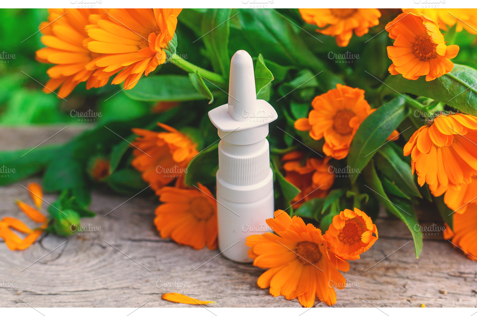 medicinal plant calendula homeopathy, a Beauty & Fashion Photo by yanadjana