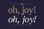 JT Symington, a Serif Font by JAM Type (Thumbnail 5 of 13)