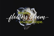Butterflies Script, a Script Font by Fargun Studio (Thumbnail 4 of 6)