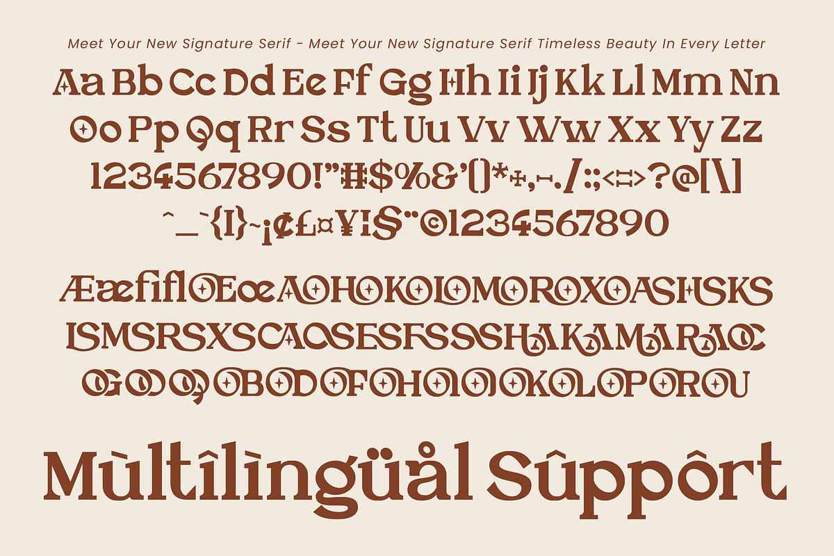 Veloura Modern Serif Display, a Serif Font by operatype.co (Photo 8 of 8)